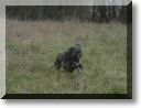 2013-01-13-ATTON-BALADE-ETANGS-007.jpg