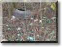 2013-01-13-ATTON-BALADE-ETANGS-014.jpg