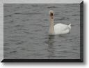 2013-01-13-ATTON-BALADE-ETANGS-015.jpg