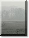 2013-02-10-ATTON-BALADE-ETANGS-003.jpg