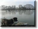 2013-02-10-ATTON-BALADE-ETANGS-016.jpg