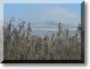 2013-02-10-ATTON-BALADE-ETANGS-018.jpg
