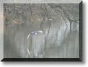 2013-02-10-ATTON-BALADE-ETANGS-020.jpg