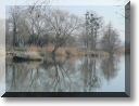 2013-02-10-ATTON-BALADE-ETANGS-022.jpg