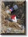 2013-02-10-ATTON-BALADE-ETANGS-027.jpg